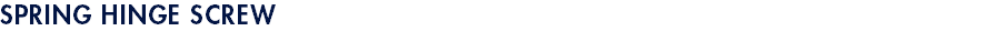 SPRING HINGE SCREW
