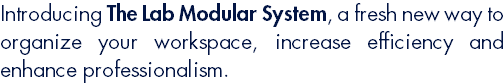 Introducing The Lab Modular System, a fresh new way to organize your workspace, increase efficiency and enhance professionalism.
